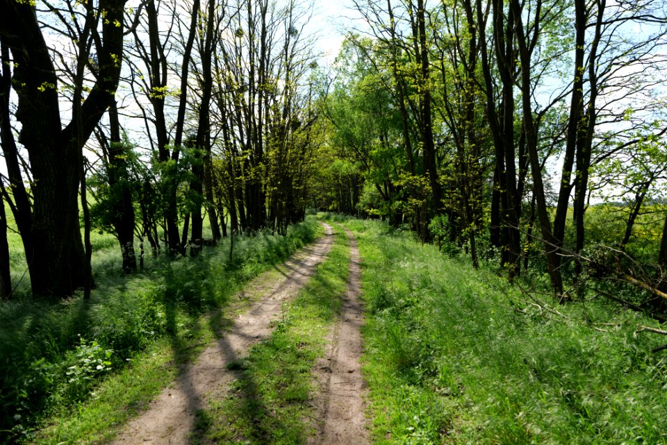 SAC Stromgewässer 2021-05-29 10