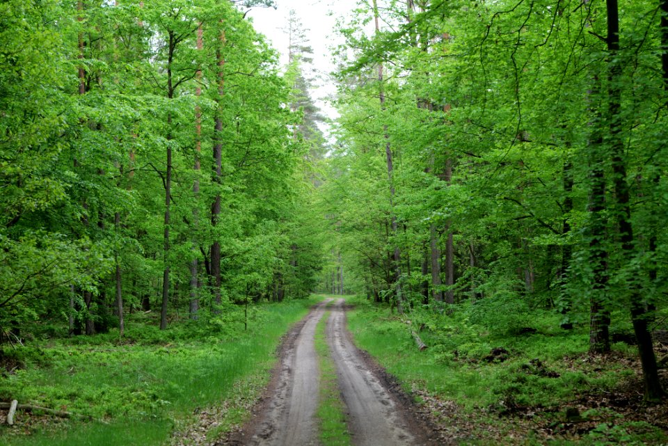 SAC Kleine Schorfheide - Havel 2021-05-29 137