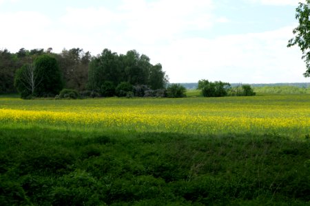 SAC Stromgewässer 2021-05-29 02