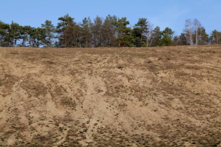 SAC Saarmunder Berg 2021-02-24 101