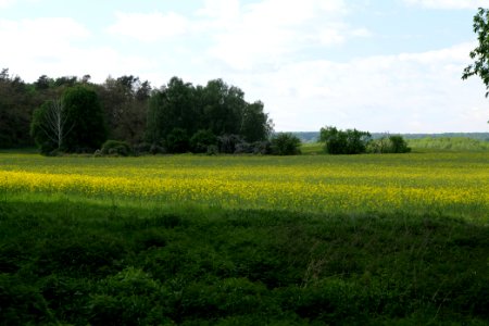 SAC Stromgewässer 2021-05-29 01