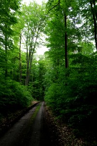 SAC Kleine Schorfheide - Havel 2021-05-29 46