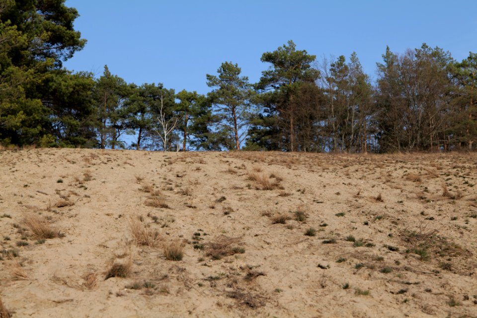 SAC Saarmunder Berg 2021-02-24 96