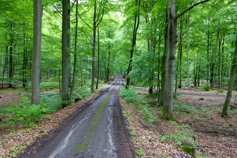 SAC Kleine Schorfheide - Havel 2021-05-29 50