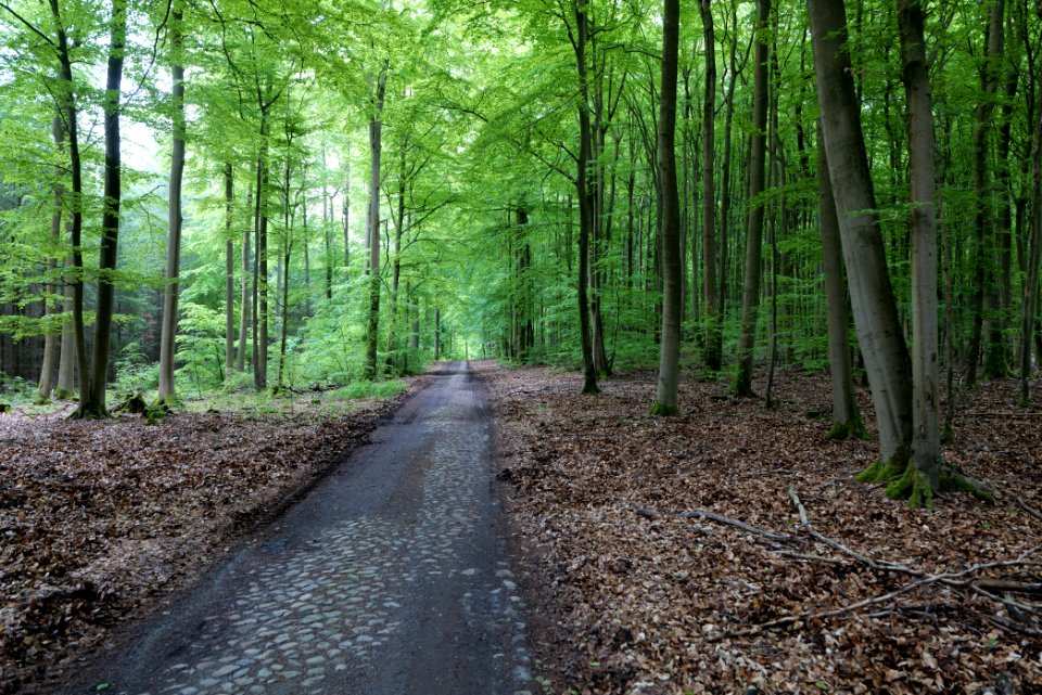 SAC Kleine Schorfheide - Havel 2021-05-29 97
