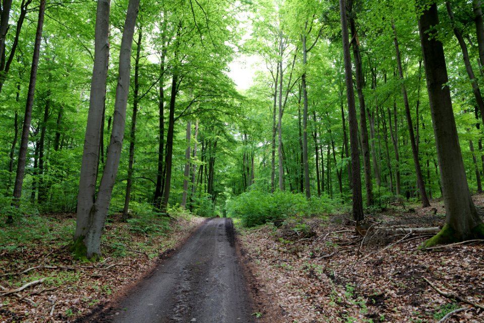 SAC Kleine Schorfheide - Havel 2021-05-29 34