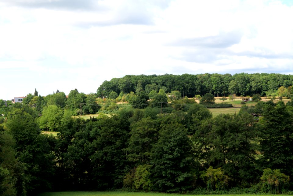 SAC Rombachtal und auf dem Bangert bei Königstein Taunus 2020-08-18 14
