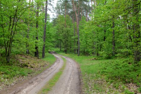 SAC Kleine Schorfheide - Havel 2021-05-29 143