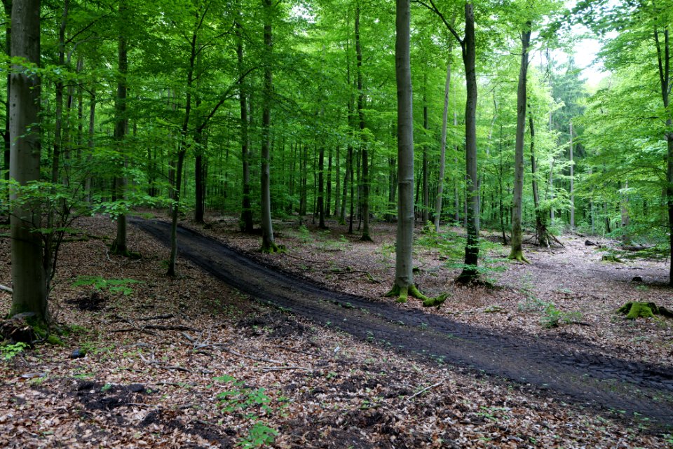 SAC Kleine Schorfheide - Havel 2021-05-29 66