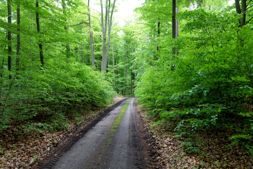 SAC Kleine Schorfheide - Havel 2021-05-29 44