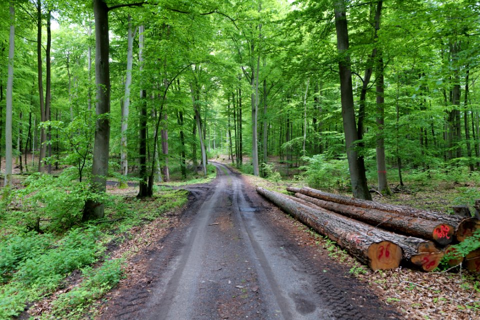 SAC Kleine Schorfheide - Havel 2021-05-29 57