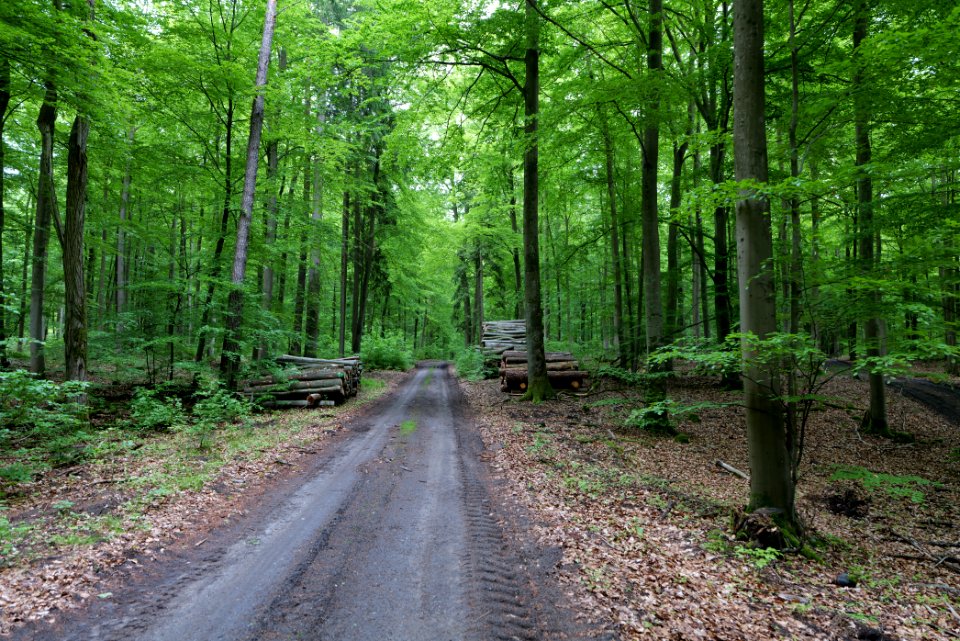 SAC Kleine Schorfheide - Havel 2021-05-29 69