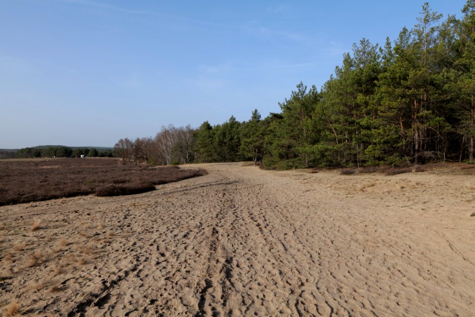 SAC Saarmunder Berg 2021-02-24 42