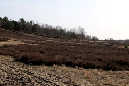 SAC Saarmunder Berg 2021-02-24 34