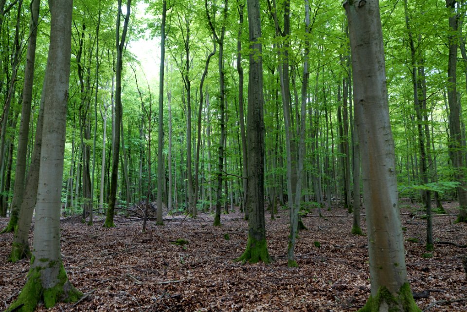 SAC Kleine Schorfheide - Havel 2021-05-29 95