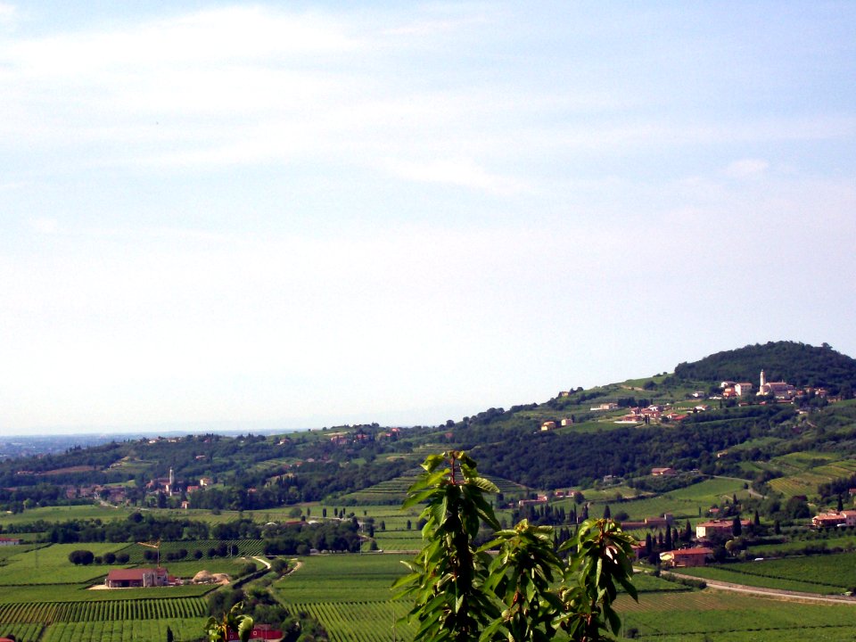 S.Briccio e S.Pietro