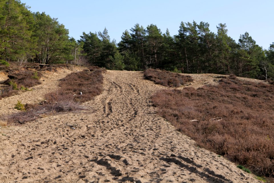 SAC Saarmunder Berg 2021-02-24 46