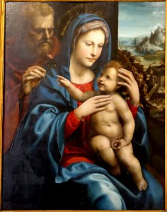 Sacred Family by Giovanni Antonio Bazzi, 1525-1530, oil on panel - Galleria Borghese - Rome, Italy - DSC04606