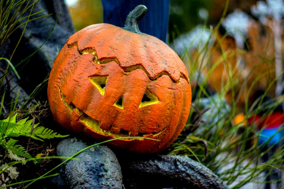 Halloween autumn pumpkin