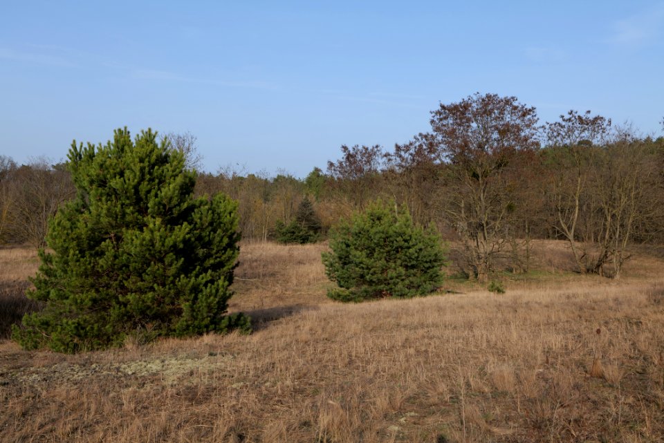 SAC Saarmunder Berg 2021-02-24 114