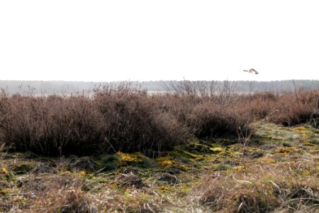 SAC Saarmunder Berg 2021-02-24 27