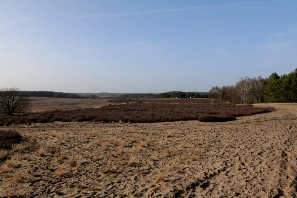 SAC Saarmunder Berg 2021-02-24 39