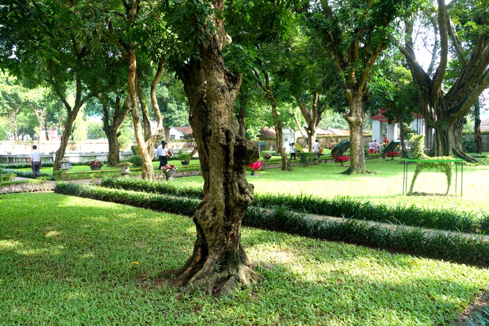 Second courtyard - Temple of Literature, Hanoi - DSC04549