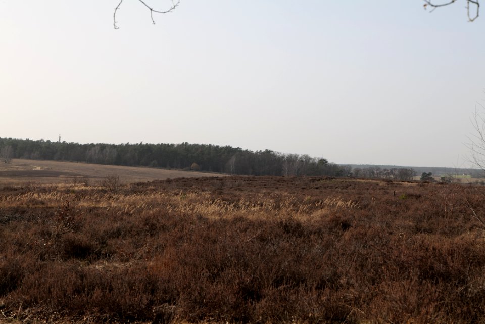 SAC Saarmunder Berg 2021-02-24 30