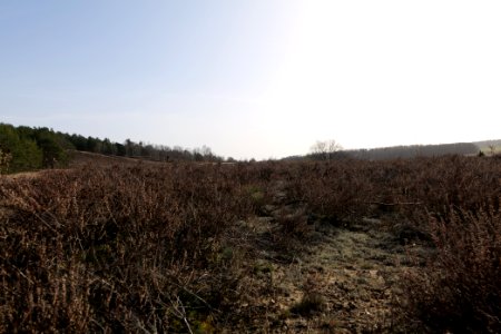 SAC Saarmunder Berg 2021-02-24 32