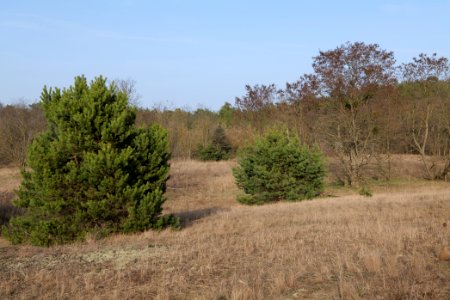 SAC Saarmunder Berg 2021-02-24 113