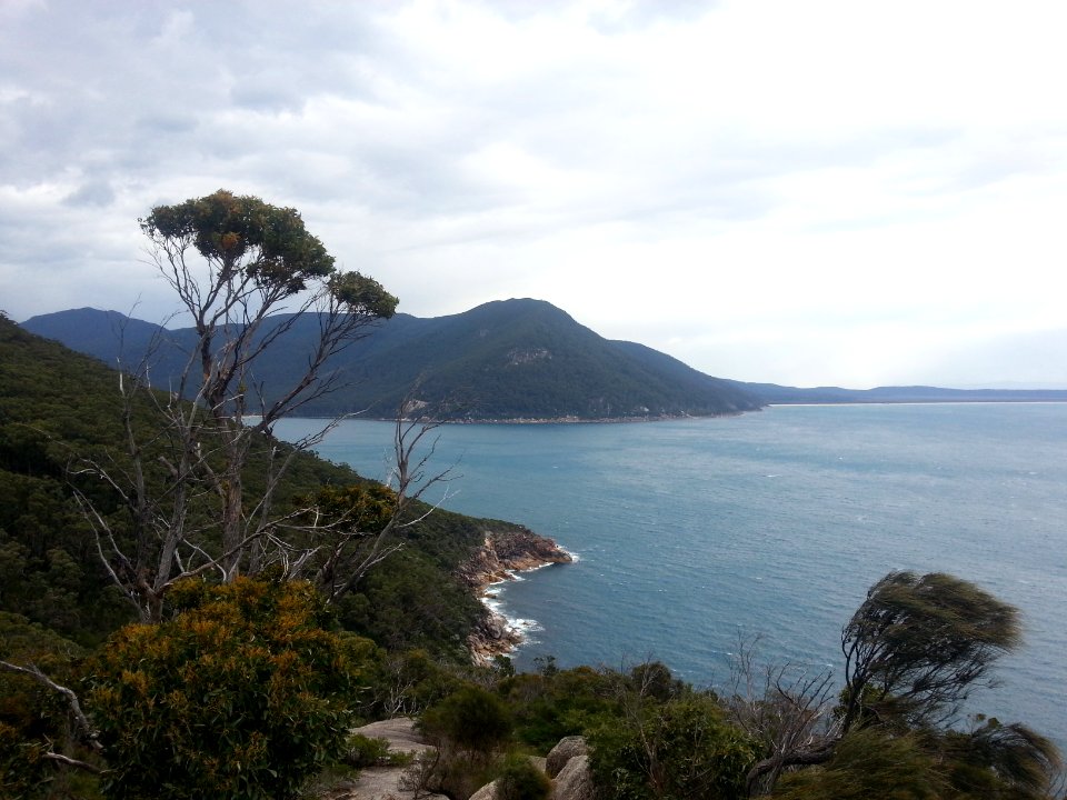 Sealers Cove to Refuge Cove walking track, Wilsons Promontory National Park 05