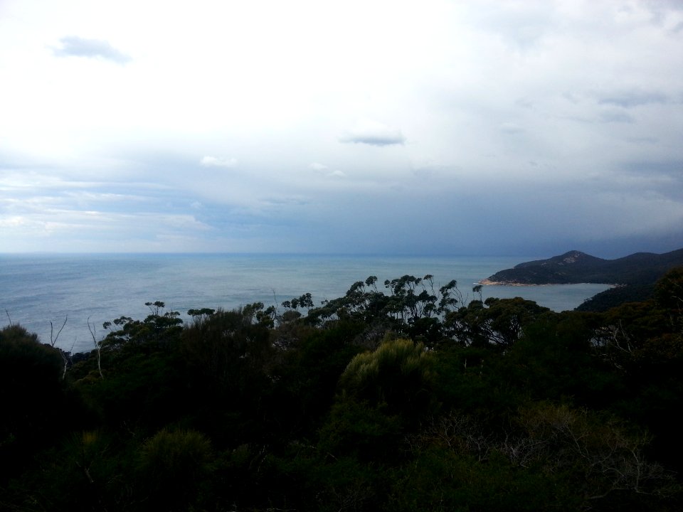 Sealers Cove to Refuge Cove walking track, Wilsons Promontory National Park 12