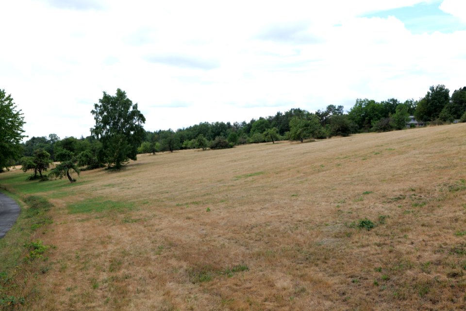 SAC Rombachtal und auf dem Bangert bei Königstein Taunus 2020-08-18 129