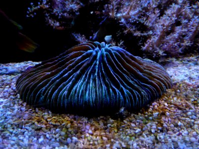 Sealife-Munich-6