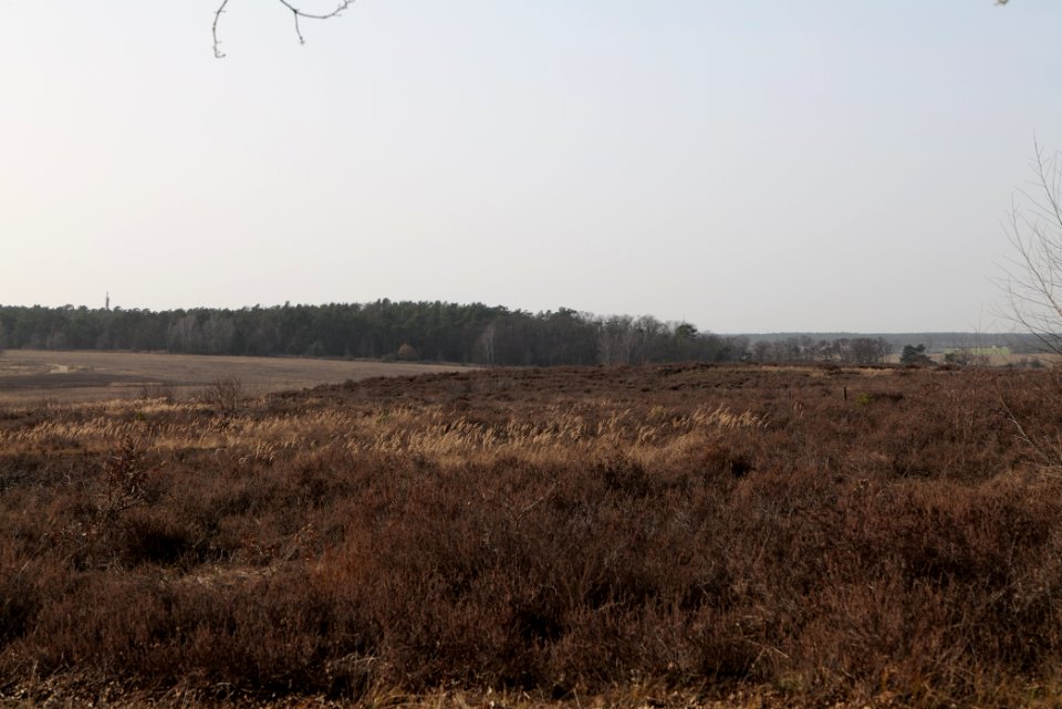 SAC Saarmunder Berg 2021-02-24 31