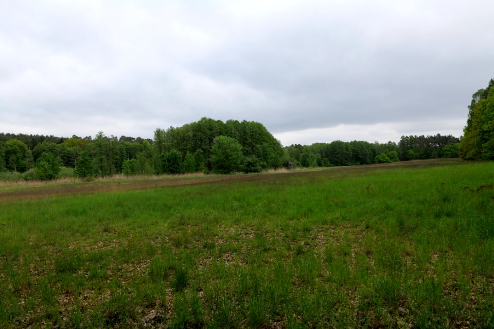 SAC Kleine Schorfheide - Havel 2021-05-29 29