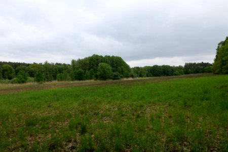 SAC Kleine Schorfheide - Havel 2021-05-29 29
