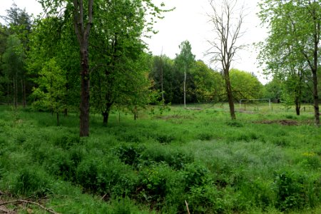 SAC Kleine Schorfheide - Havel 2021-05-29 18