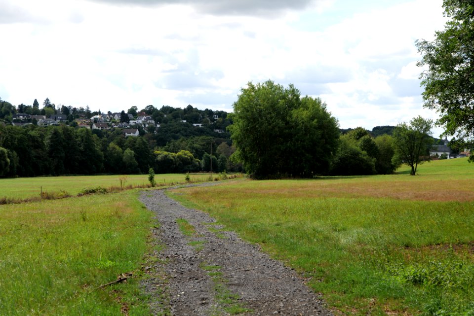 SAC Rombachtal und auf dem Bangert bei Königstein Taunus 2020-08-18 59