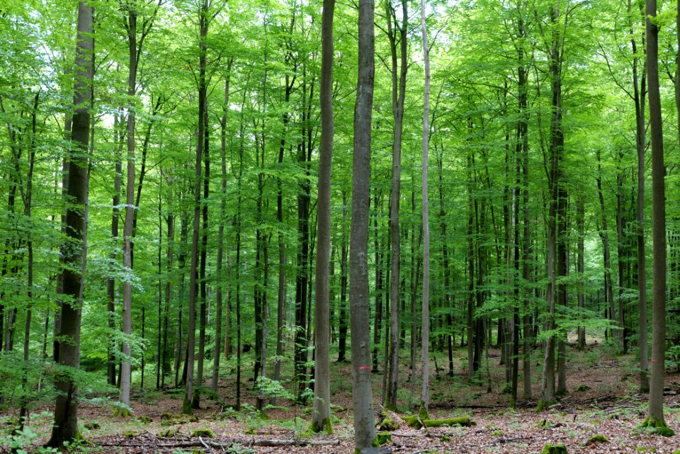 SAC Kleine Schorfheide - Havel 2021-05-29 81