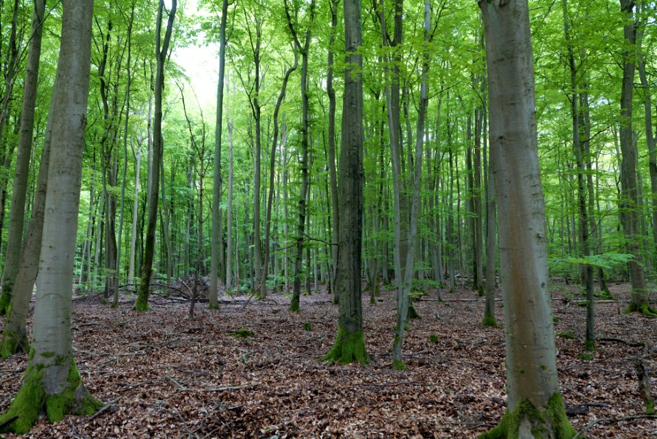 SAC Kleine Schorfheide - Havel 2021-05-29 96