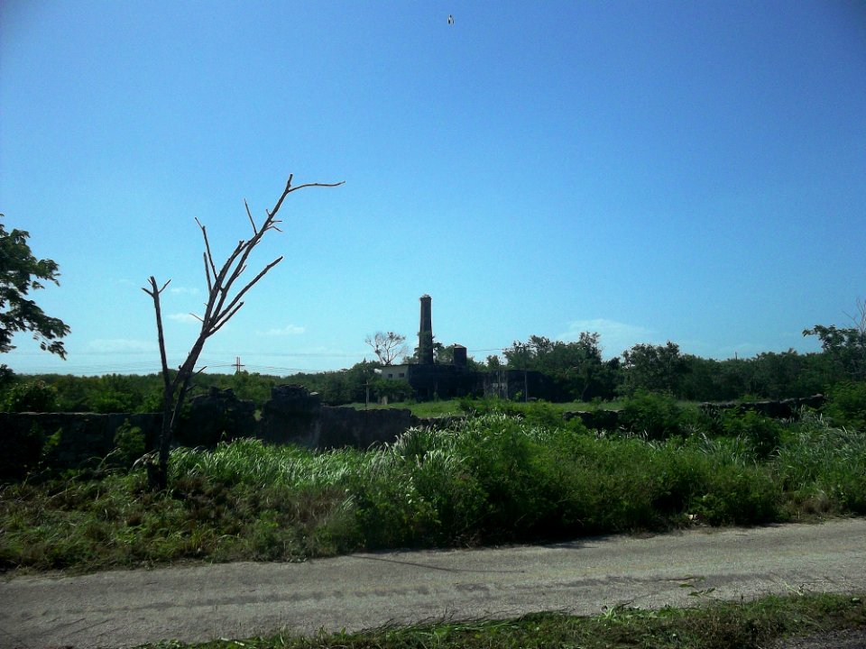 Sac Nicté (Izamal), Yucatán (05)
