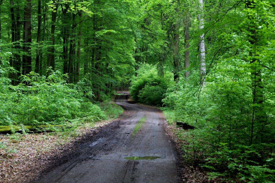 SAC Kleine Schorfheide - Havel 2021-05-29 85