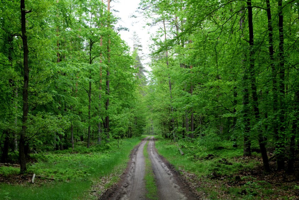 SAC Kleine Schorfheide - Havel 2021-05-29 139