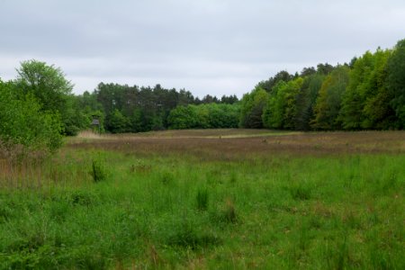 SAC Kleine Schorfheide - Havel 2021-05-29 19