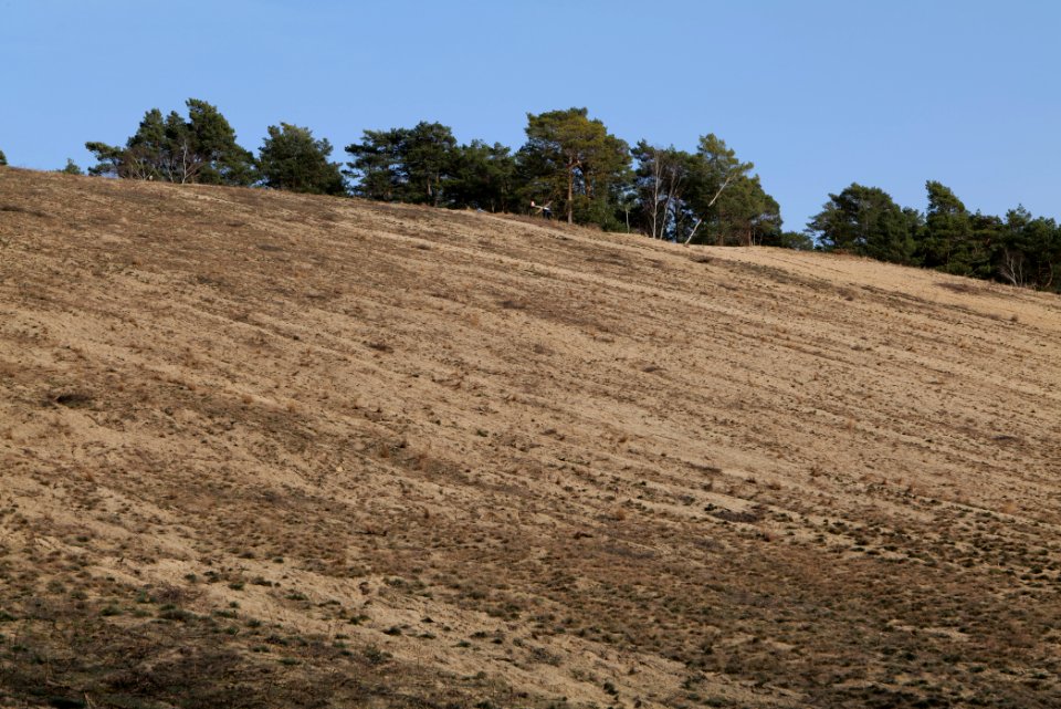 SAC Saarmunder Berg 2021-02-24 104