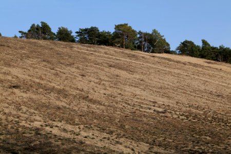 SAC Saarmunder Berg 2021-02-24 104