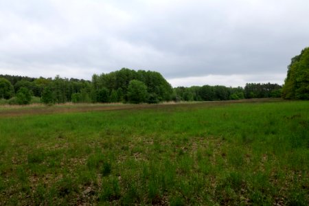 SAC Kleine Schorfheide - Havel 2021-05-29 30