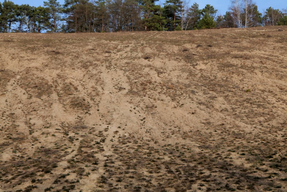 SAC Saarmunder Berg 2021-02-24 102