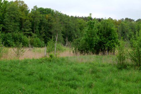 SAC Kleine Schorfheide - Havel 2021-05-29 23